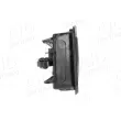 Poignet de porte, équipment intérieur avant gauche AIC 75669 - Visuel 3