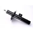 Amortisseur avant droit MAGNUM TECHNOLOGY AHP029MT - Visuel 1