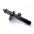 Amortisseur avant droit MAGNUM TECHNOLOGY AHP036MT - Visuel 1