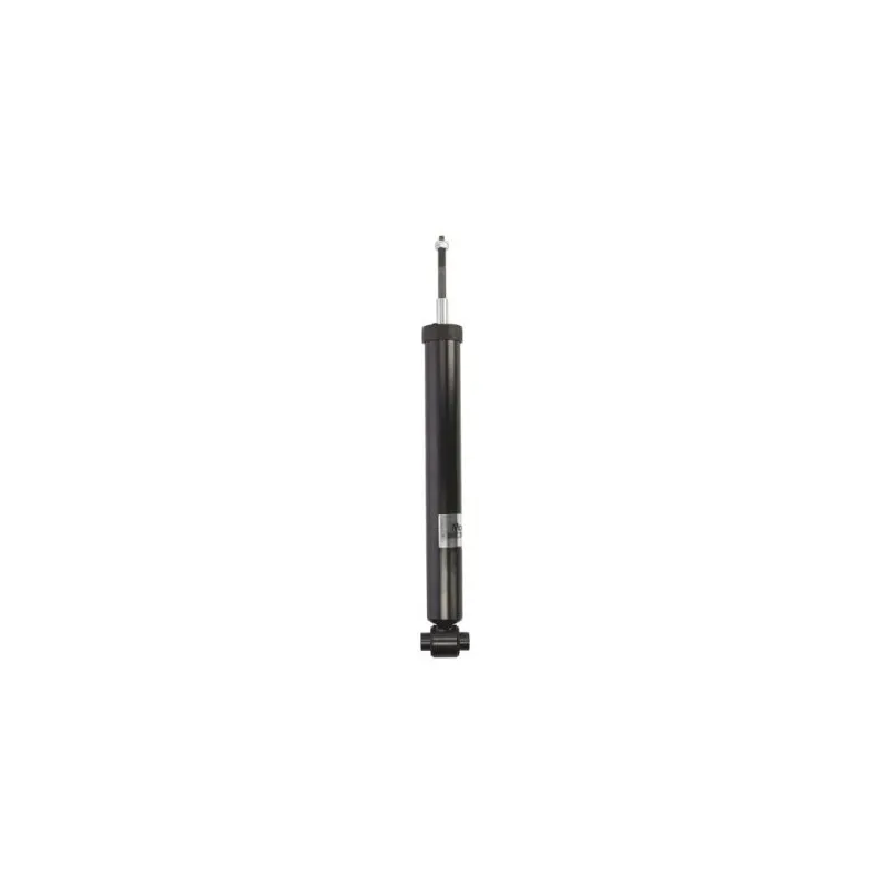 Jeu de 2 Amortisseurs arrière MAGNUM TECHNOLOGY AHP060MT