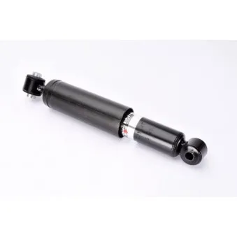 Jeu de 2 Amortisseurs arrière MAGNUM TECHNOLOGY AHR013MT