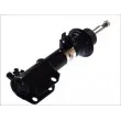 Jeu de 2 amortisseurs avant MAGNUM TECHNOLOGY AHR046MT - Visuel 2