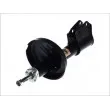 Jeu de 2 Amortisseurs avant MAGNUM TECHNOLOGY AHR052MT - Visuel 2