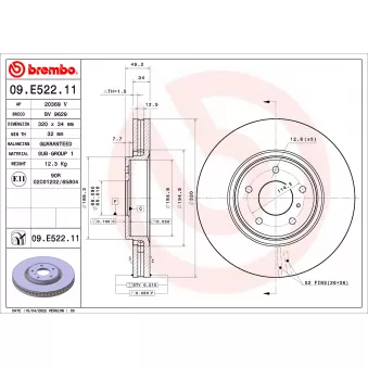 Jeu de 2 disques de frein avant BREMBO 09.E522.11