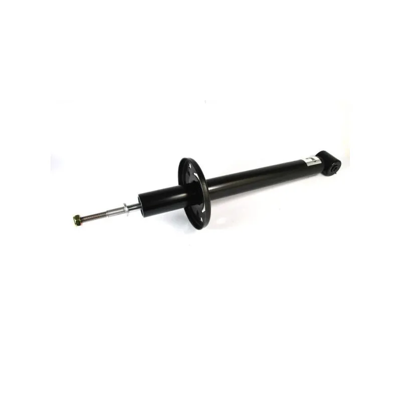 Jeu de 2 Amortisseurs arrière MAGNUM TECHNOLOGY AHW026MT