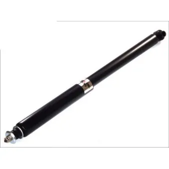 Jeu de 2 Amortisseurs arrière MAGNUM TECHNOLOGY AHX040MT