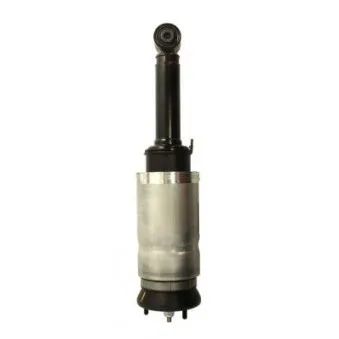 Vérin MAGNUM TECHNOLOGY APL011MT