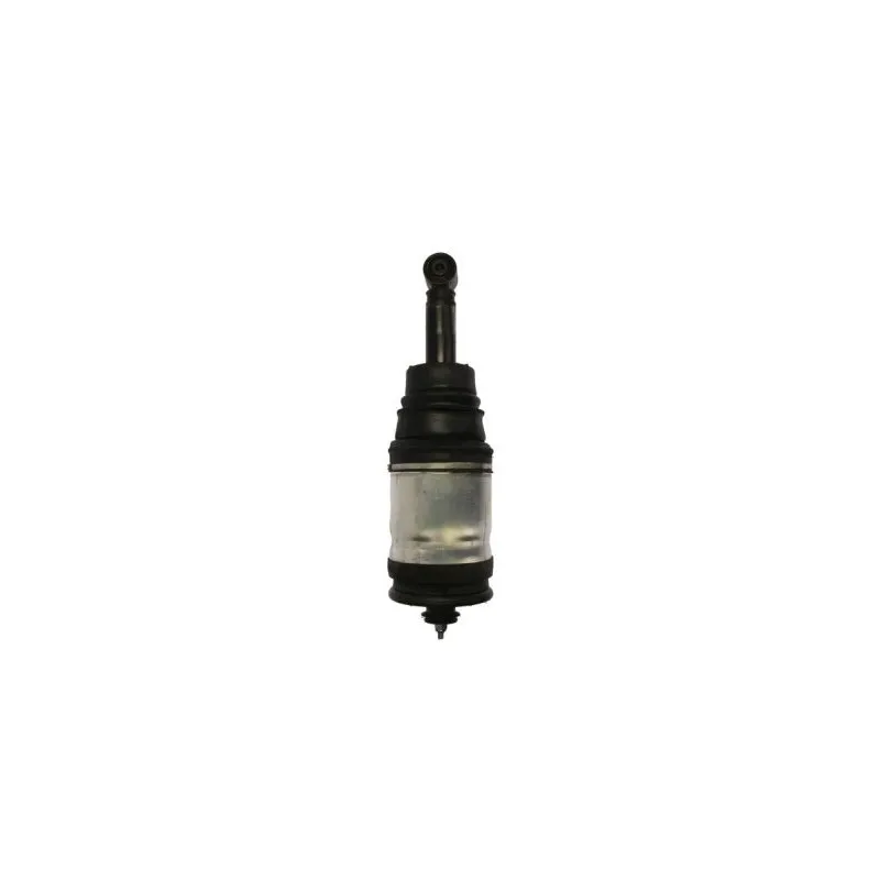 Vérin MAGNUM TECHNOLOGY APL012MT