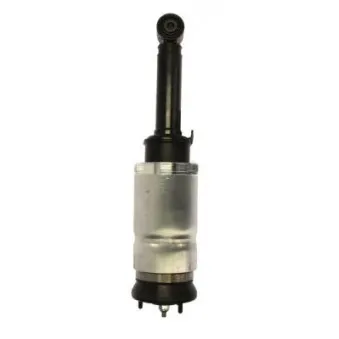 Vérin MAGNUM TECHNOLOGY APL013MT