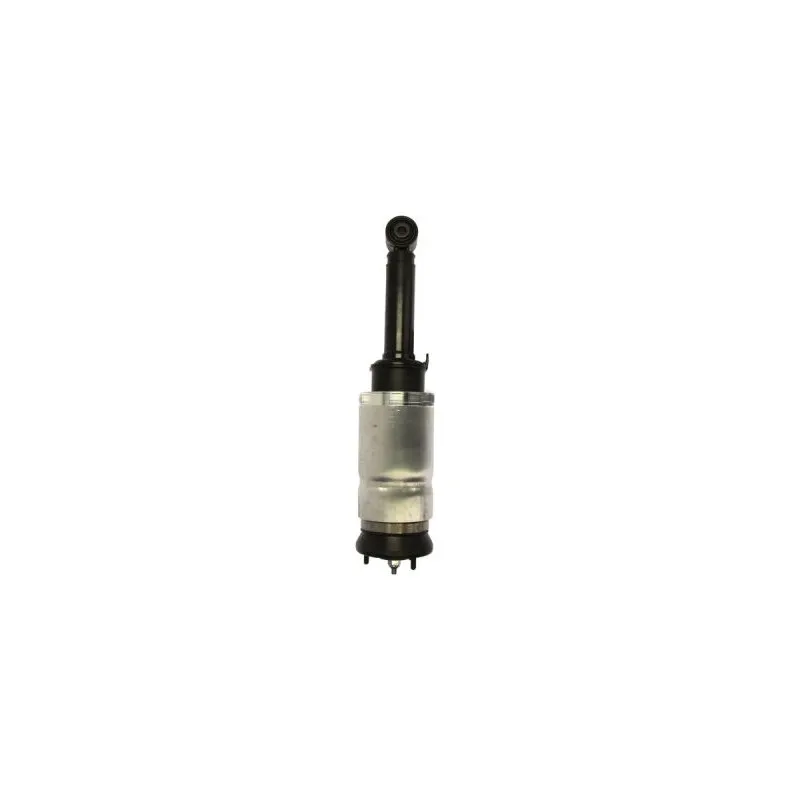 Vérin MAGNUM TECHNOLOGY APL013MT