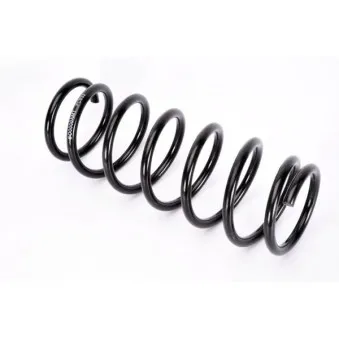 Ressort de suspension MAGNUM TECHNOLOGY S00000AMT