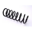 Ressort de suspension MAGNUM TECHNOLOGY SA040MT - Visuel 1