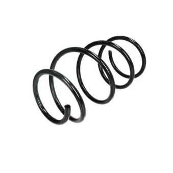 Ressort de suspension MAGNUM TECHNOLOGY