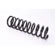 Ressort de suspension MAGNUM TECHNOLOGY SB054MT - Visuel 2
