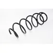 Ressort de suspension MAGNUM TECHNOLOGY SC035MT - Visuel 2