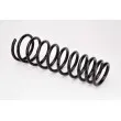 Ressort de suspension MAGNUM TECHNOLOGY SD003MT - Visuel 2