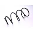 Ressort de suspension MAGNUM TECHNOLOGY SF006MT - Visuel 2
