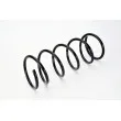 Ressort de suspension MAGNUM TECHNOLOGY SG023MT - Visuel 2