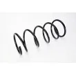 Ressort de suspension MAGNUM TECHNOLOGY SG032MT - Visuel 2