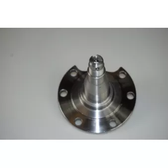 Fusée d'essieu, suspension de roue LTD LTD-8D0501117C