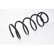 Ressort de suspension MAGNUM TECHNOLOGY SG049MT - Visuel 2