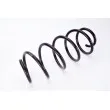 Ressort de suspension MAGNUM TECHNOLOGY SG051MT - Visuel 1