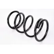 Ressort de suspension MAGNUM TECHNOLOGY SG075MT - Visuel 2