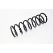 Ressort de suspension MAGNUM TECHNOLOGY SG093MT - Visuel 2