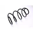 Ressort de suspension MAGNUM TECHNOLOGY SK033MT - Visuel 2