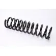 Ressort de suspension MAGNUM TECHNOLOGY SM018MT - Visuel 1