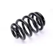 Ressort de suspension MAGNUM TECHNOLOGY SM070MT - Visuel 2