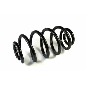 Ressort de suspension MAGNUM TECHNOLOGY