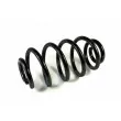 Ressort de suspension MAGNUM TECHNOLOGY SM091MT - Visuel 3