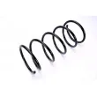 Ressort de suspension MAGNUM TECHNOLOGY SP010MT - Visuel 2