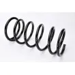 Ressort de suspension MAGNUM TECHNOLOGY SP011MT - Visuel 2