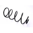 Ressort de suspension MAGNUM TECHNOLOGY SP056MT - Visuel 1