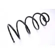 Ressort de suspension MAGNUM TECHNOLOGY SP056MT - Visuel 2