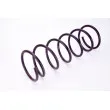Ressort de suspension MAGNUM TECHNOLOGY SP065MT - Visuel 2