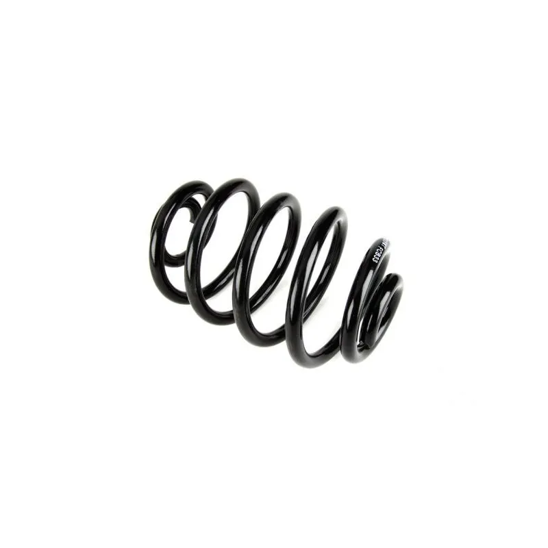 Ressort de suspension MAGNUM TECHNOLOGY SR039MT
