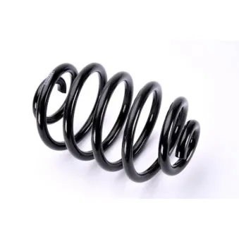 Ressort de suspension MAGNUM TECHNOLOGY SR058MT