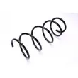 Ressort de suspension MAGNUM TECHNOLOGY SR060MT - Visuel 2