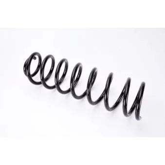 Ressort de suspension MAGNUM TECHNOLOGY