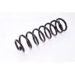 Ressort de suspension MAGNUM TECHNOLOGY SR074MT - Visuel 2