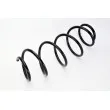 Ressort de suspension MAGNUM TECHNOLOGY SS000MT - Visuel 2