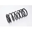 Ressort de suspension MAGNUM TECHNOLOGY SS003MT - Visuel 2