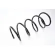Ressort de suspension MAGNUM TECHNOLOGY SV048MT - Visuel 2