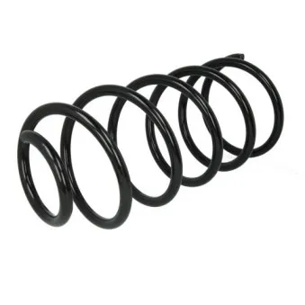 Ressort de suspension MAGNUM TECHNOLOGY
