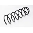 Ressort de suspension MAGNUM TECHNOLOGY SW008MT - Visuel 2