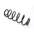 Ressort de suspension MAGNUM TECHNOLOGY SW034MT - Visuel 1