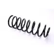 Ressort de suspension MAGNUM TECHNOLOGY SW048MT - Visuel 1